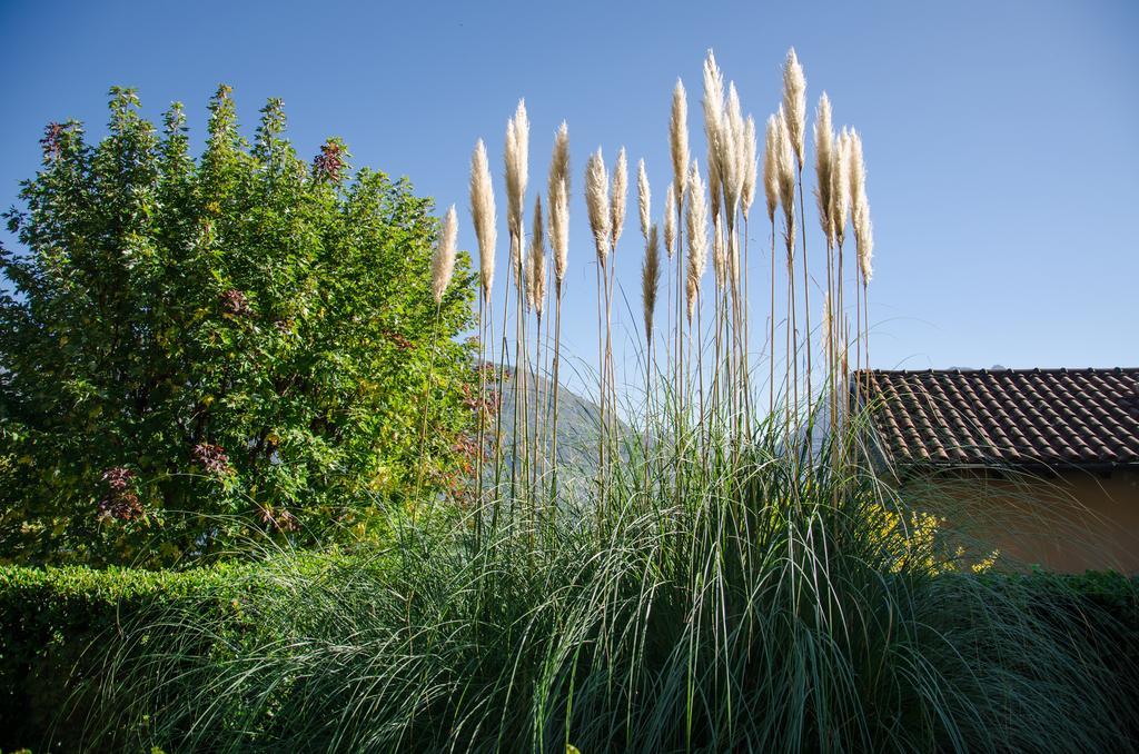 Anma Cottages Sole Lago Acquaseria Eksteriør bilde